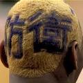 Image: hq on Artest's head
